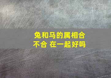 兔和马的属相合不合 在一起好吗